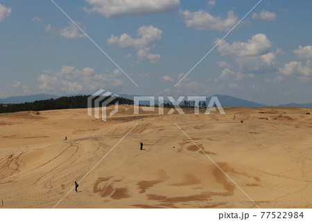 鳥取砂丘 77522984