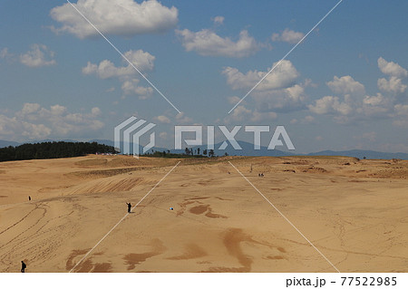 鳥取砂丘 77522985
