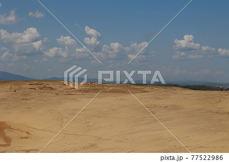鳥取砂丘 77522986