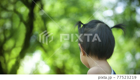 backside head of preschool girl in nature background backside head of preschool girl in nature background 77523219