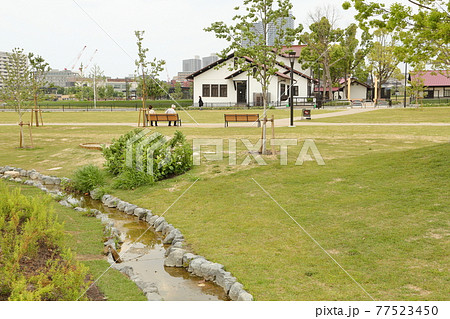 大阪府高槻市　安満遺跡公園　青空に映える安満遺跡公園の屋根と開放的な芝生広場 77523450
