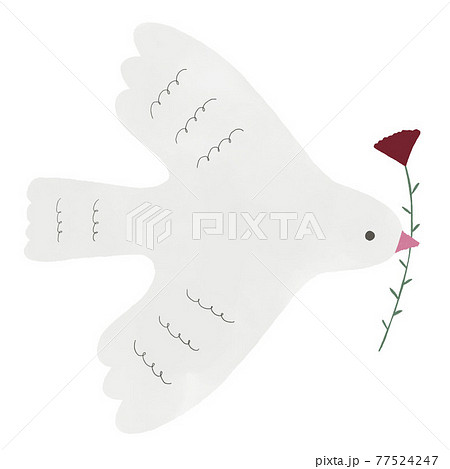 赤い花をくわえた白い鳩の手描きイラストのイラスト素材