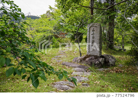 石舟斎塁城跡 石舟斎塁城跡 77524796