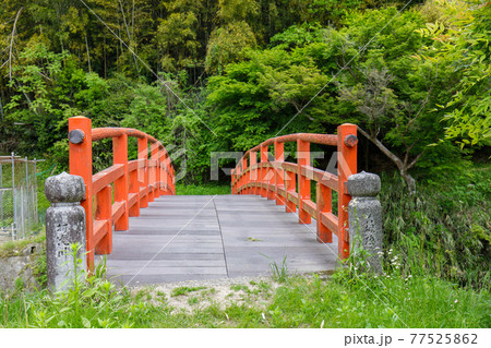 もみじ橋 77525862
