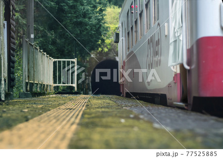 樽見鉄道 77525885