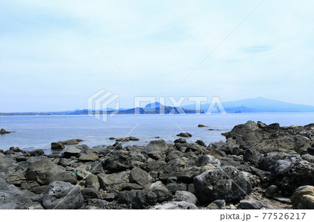 風力 海 ガーデン 77526217