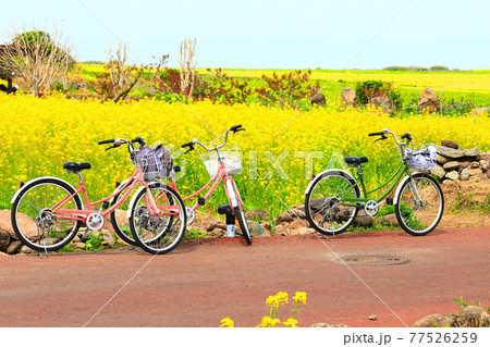 自転車 フェンス 塀 77526259