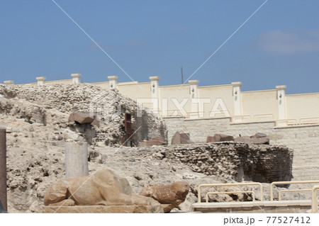 アレクサンドリア 77527412