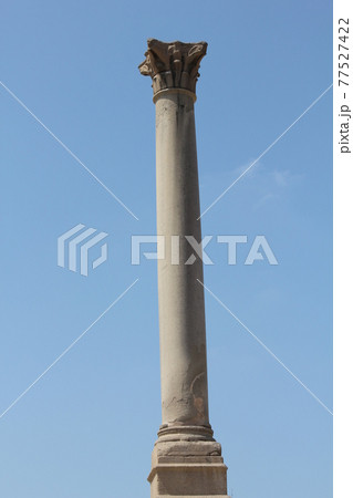 アレクサンドリア 77527422