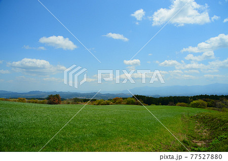 5月の久住高原 5月の久住高原 77527880