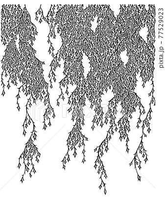 Hanging plant-like background (hand-painted... - Stock Illustration  [77529023] - PIXTA