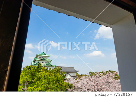 名古屋城、西南隅櫓からの眺め〈愛知県名古屋市〉 77529157