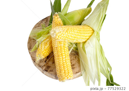 Heap of yellow corn on a wooden stand on a white background, isolate. Natural vegetable grown in your garden, isolate 77529322