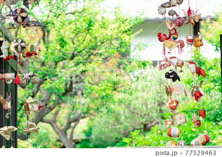 吊るし雛 77529463