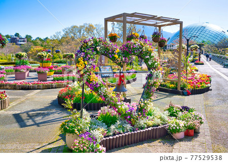 カラフルなハートの花飾り（鳥取県） 77529538