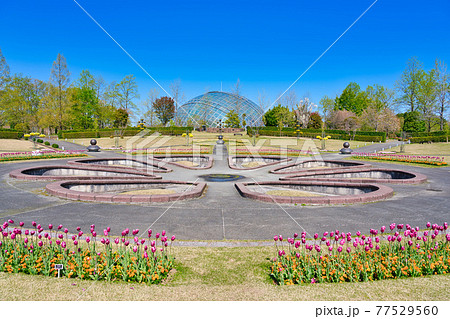 霧の庭園とフラワードーム(鳥取県) 霧の庭園とフラワードーム(鳥取県) 77529560