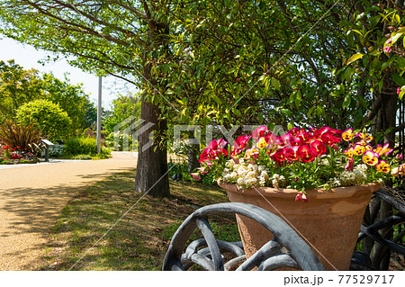 ワイルドフラワーガーデン ブルーボネット〈愛知県名古屋市〉 77529717