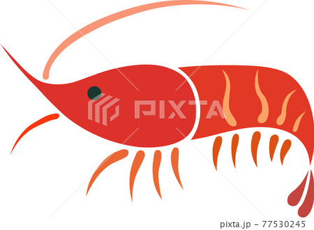 ホッコクアカエビ 雫 ホッコクアカエビ 雫 77530245