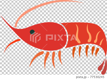 ホッコクアカエビ 雫 ホッコクアカエビ 雫 77530245