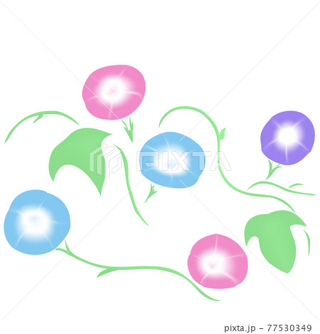 色々なあさがおと葉っぱのイラストのイラスト素材