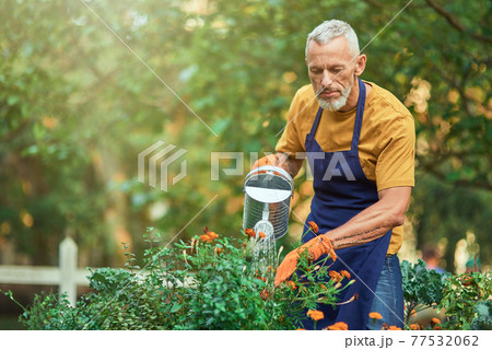 Middle aged caucasian businessman watering flowers Middle aged caucasian businessman watering flowers 77532062