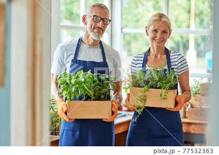Middle aged caucasian partners holding pots with herbs Middle aged caucasian partners holding pots with herbs 77532363