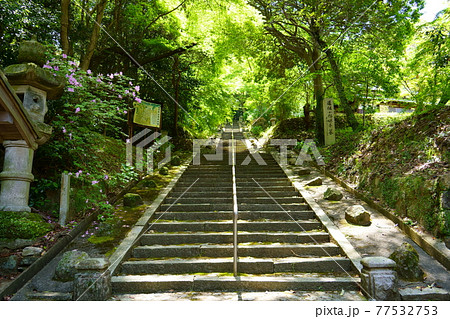 小野妹子の墓（大阪府南河内郡太子町） 77532753