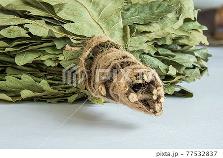 Handmade bath broom made of oak branches wrapped with twine. White background 77532837