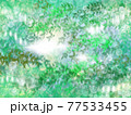 欅の木漏れ日の背景 77533455