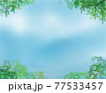 欅と青空と雲のある背景 77533457
