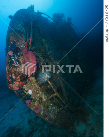 熱帯の海底に横倒しになった沈没船 (シミラン諸島、タイ王国) 77533700