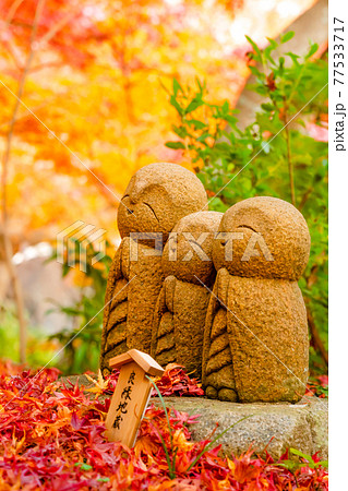 鎌倉・長谷寺 良縁地蔵 鎌倉・長谷寺 良縁地蔵 77533717