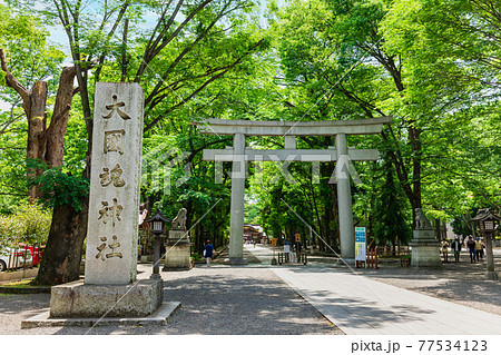 東京　大國魂神社　大鳥居 77534123