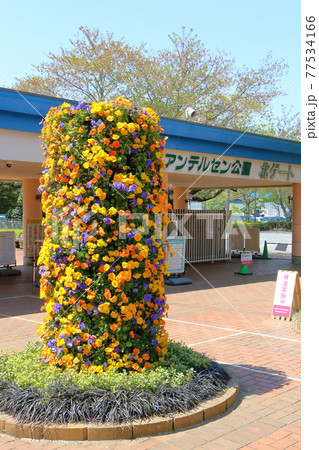 千葉県船橋市のアンデルセン公園　北ゲート 77534166