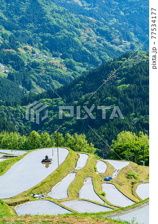 高知県大豊町の八畝の棚田 77534177