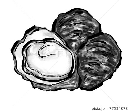 牡蠣のイラスト かき カキのイラスト素材
