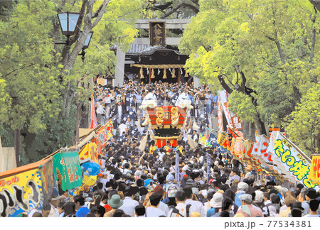 大阪府堺市 百舌鳥八幡宮月見祭 ふとん太鼓 宮入イラスト 77534381