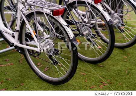 bike focus on the rear wheel and lantern row stands in the meadow 77535051