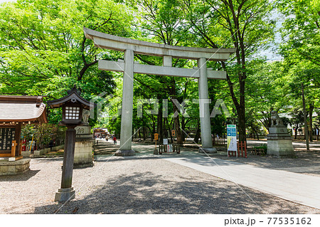 東京　大國魂神社　大鳥居 77535162