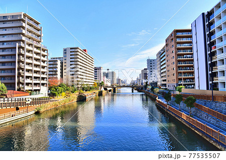 小松橋／小名木川より小名木川橋方面を望む(東京都江東区)【2020.11】 77535507