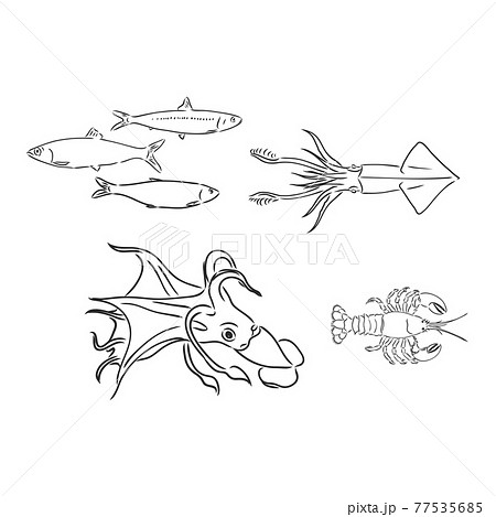 Seamless pattern made with underwater plants and animals. Hand drawn doodle monochrome starfish, shells, squid, fish, sea horse and algae. Vector sketch. Seamless pattern made with underwater plants and animals. Hand drawn doodle monochrome starfish, shells, squid, fish, sea horse and algae. Vector sketch. 77535685