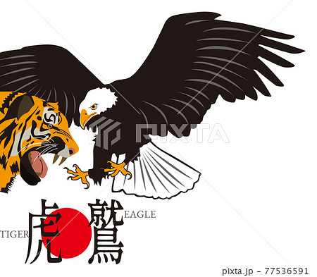 虎と鷲のイラスト素材