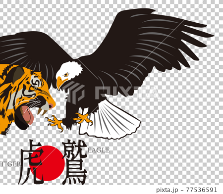 虎と鷲のイラスト素材