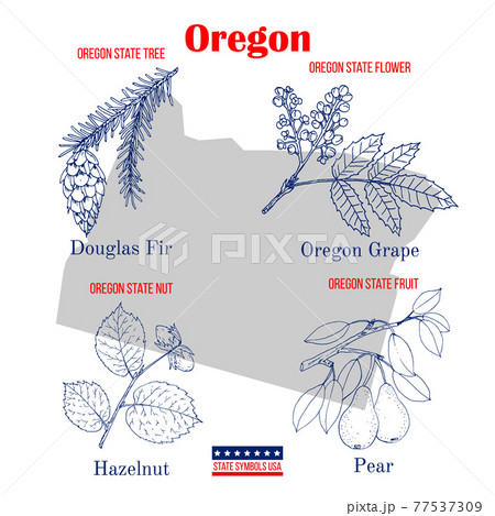 Oregon. Set of USA official state symbols 77537309