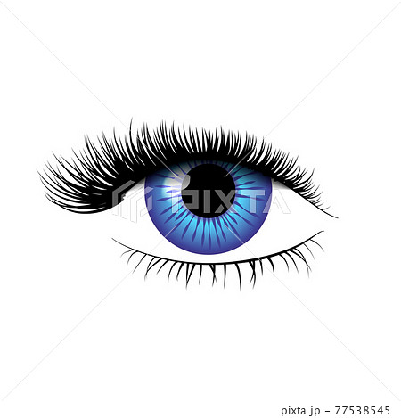 Detailed realistic blue eye with beautiful eyelashes on white 77538545