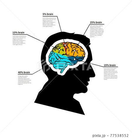 Man brain potential, bright detailed infographic with text place on white 77538552