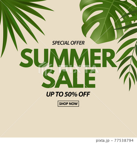 Summer sale poster. Natural Background with Tropical Palm and Monstera Leaves, exotic flower. Vector Illustration Summer sale poster. Natural Background with Tropical Palm and Monstera Leaves, exotic flower. Vector Illustration 77538794