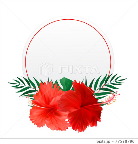 Abstract natural frame with Tropical Palm and Monstera Leaves, exotic flower isolated on white. Vector Illustration 77538796