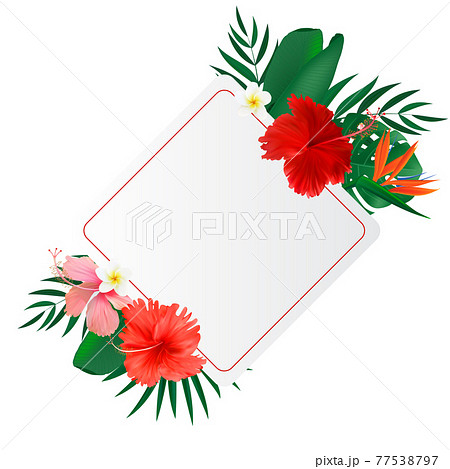 Abstract natural frame with Tropical Palm and Monstera Leaves, exotic flower isolated on white. Vector Illustration 77538797