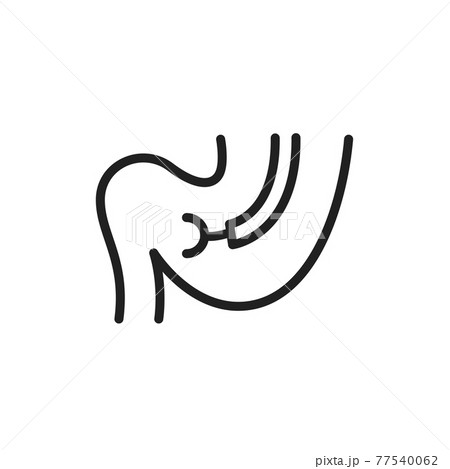 Stomach biopsy line icon. Isolated vector element. 77540062